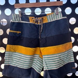 Patagonia Men's Multicolor Striped Board Shorts
